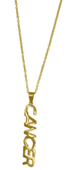 Cancer Zodiac Nameplate Necklace