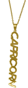 Capricorn Zodiac Nameplate Necklace