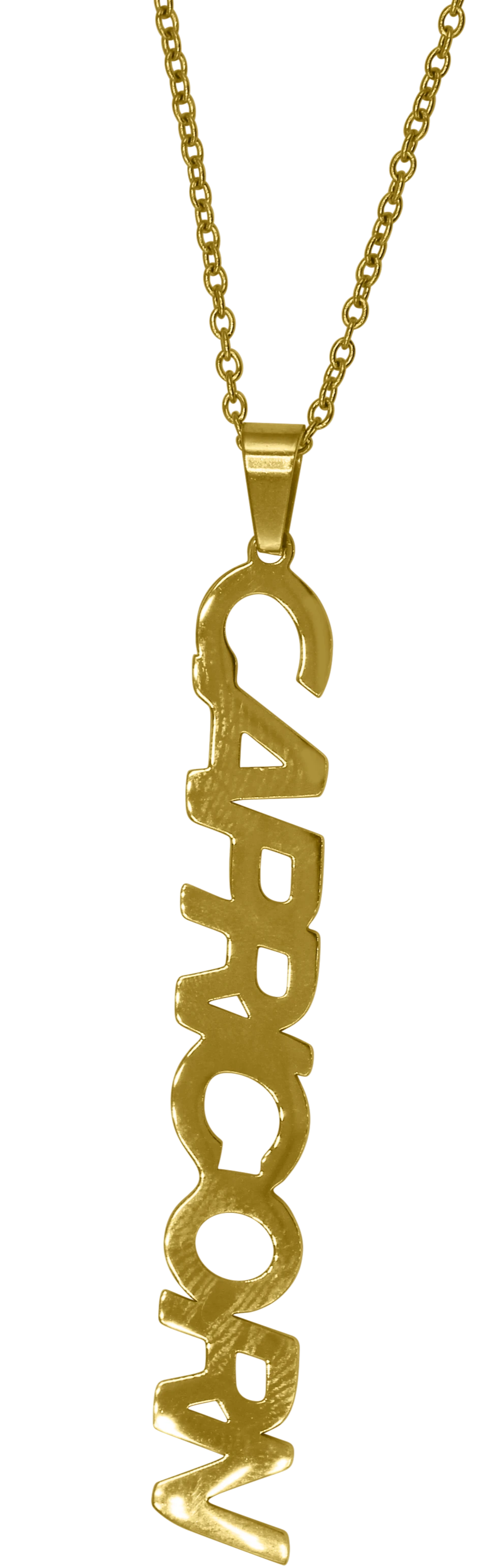 Capricorn Zodiac Nameplate Necklace