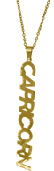 Capricorn Zodiac Nameplate Necklace
